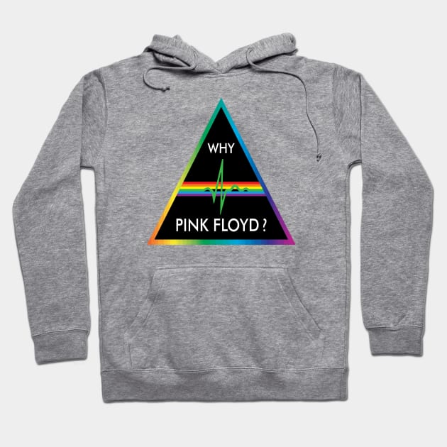 Why Pink Floyd? Hoodie by Gryaunth